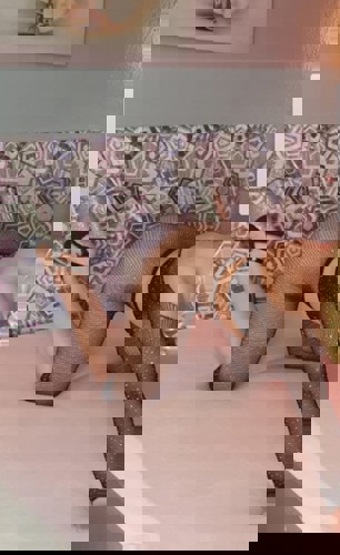 Francheska15 - +4915215223914, +491521-5223914, 01521-5223914