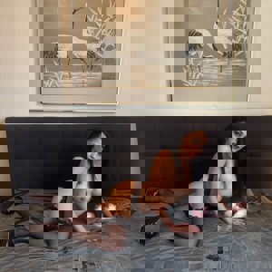 תמונת הפרופיל