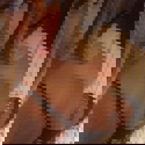 AlaryTopServiceDTQueen