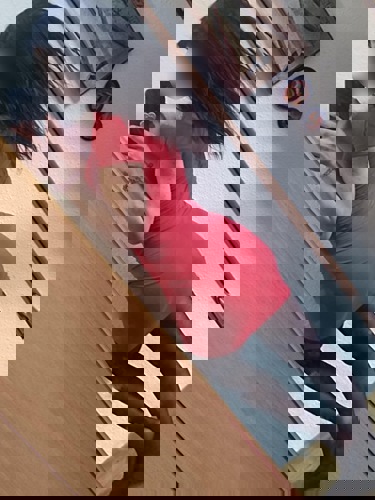 KittiTopserviceNeu1 - +4915212240073, +491521-2240073, 01521-2240073