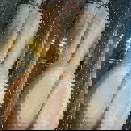 DeutschesportlicheKimNEUENUMMER