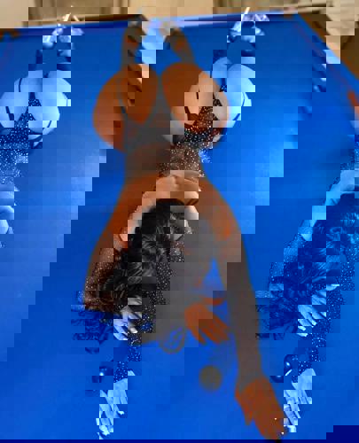 Sexymel - +971503814068, +97150-381 4068, 050-381-4068