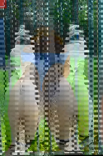 Zlati - +4917623227209, +49176-23227209, 0176-23227209