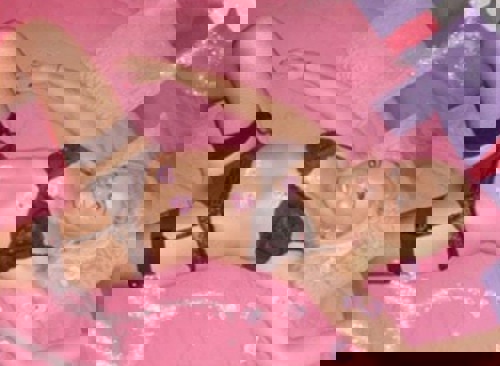 EWELINA15 - +4915231461327, +491523-1461327, 01523-1461327