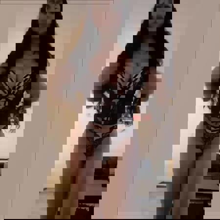 CrystalnurWhatsapp15 - +4915213759773, +491521-3759773, 01521-3759773