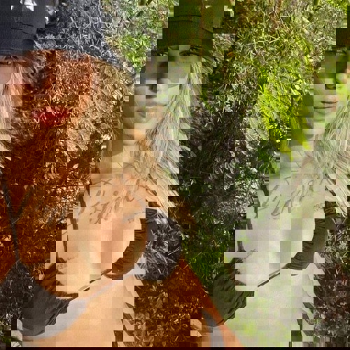 Laura17613 - +4917613585156, +49176-13585156, 0176-13585156