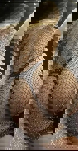 Jessica176867 - +4917686745029, +49176-86745029, 0176-86745029