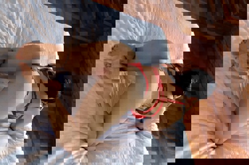 KarolAlves4 - +49447451236274, +494474-51236274, 04474-51236274