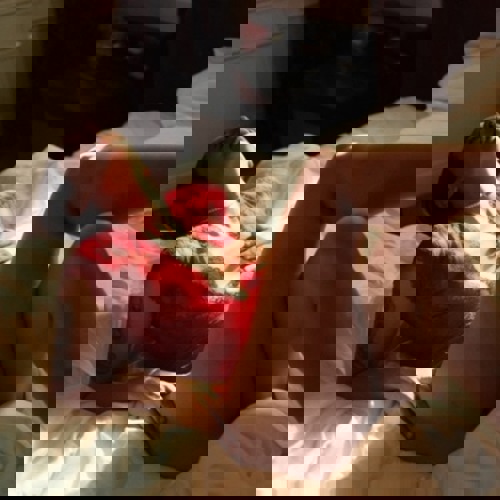 AliceSpring - +491630002271, +49163-0002271, 0163-0002271