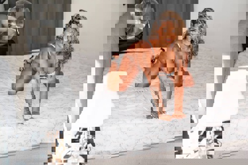 Shanny - +491786222777, +49178-6222777, 0178-6222777