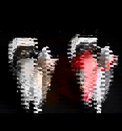 BEATRIX - +491631815438, +49163-1815438, 0163-1815438