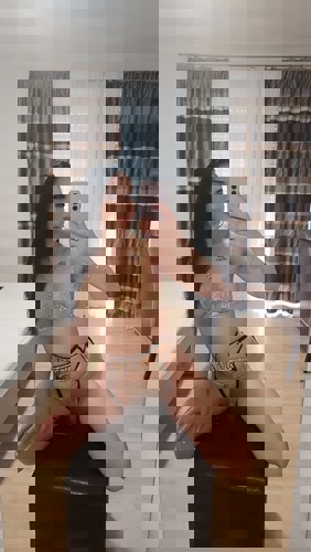 AnaTopService15 - +4915238535089, +491523-8535089, 01523-8535089