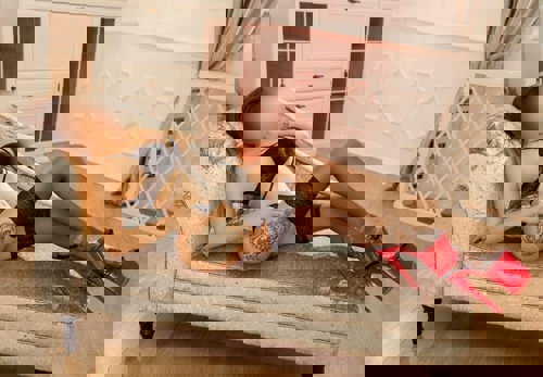 Ella1152142 - +4915214207764, +491521-4207764, 01521-4207764