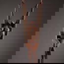 Immagine del profilo