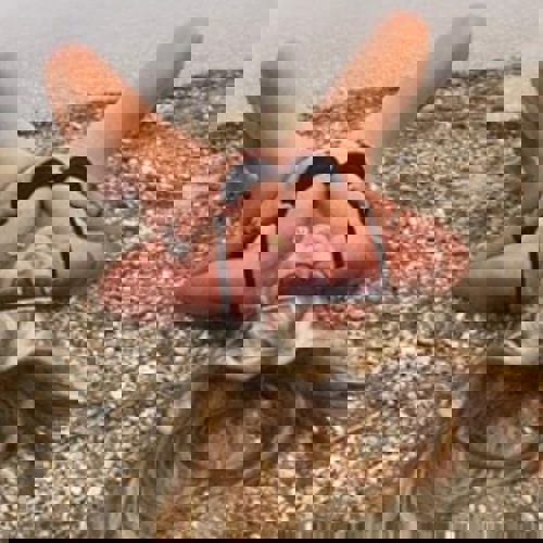 DeutFranzExpertinAnjaNheFlughafe - +4915128877352, +491512-8877352, 01512-8877352