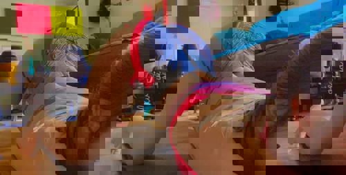 LucieThomas74 - +447463603790, +447463-603790, 07463-603790