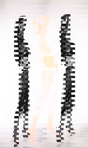 DevotPr - +4915778523191, +491577-8523191, 01577-8523191