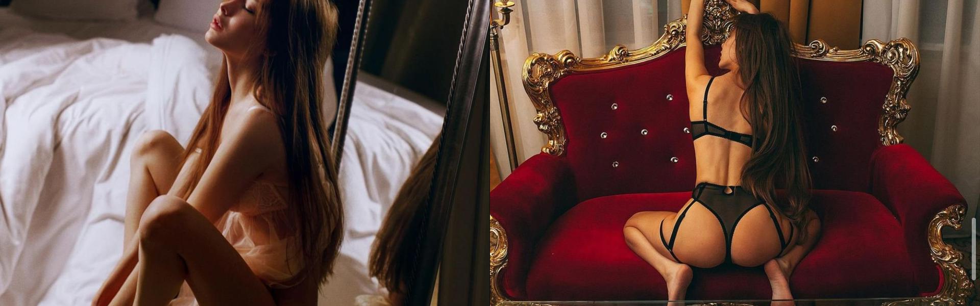 프로필 헤더 이미지