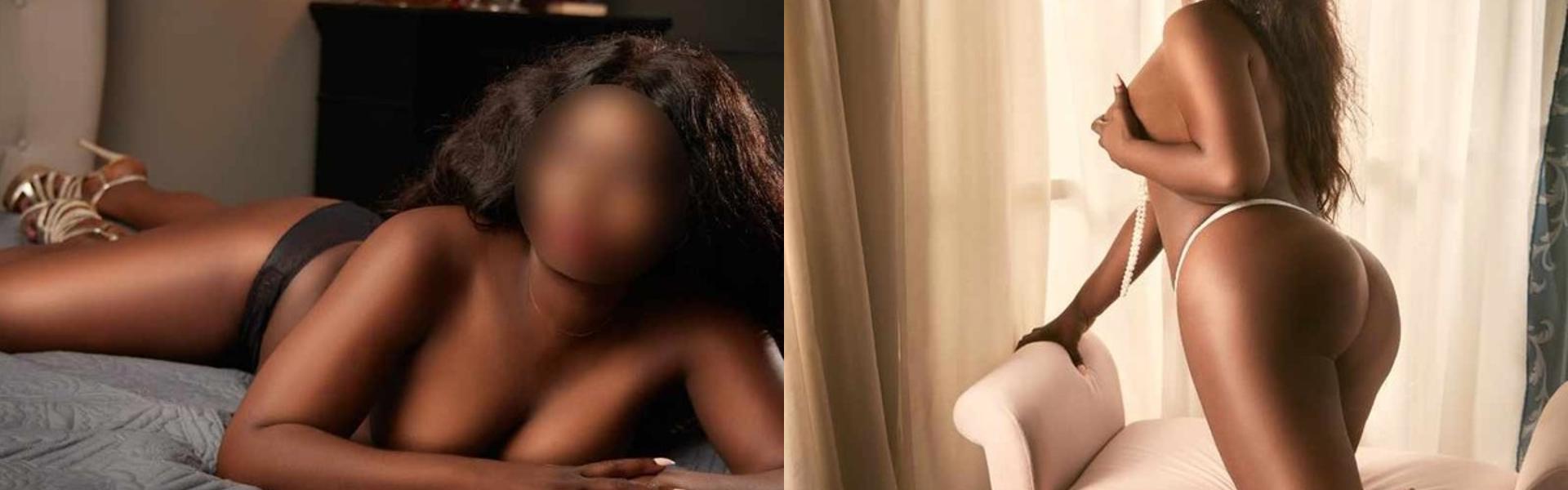 Imagen de encabezado del perfil