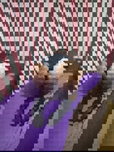 1MalPenelope - +4915214032929, +491521-4032929, 01521-4032929