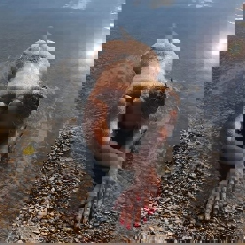 Kassandra - +4915116993146, +491511-6993146, 01511-6993146