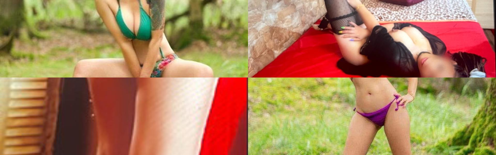 תמונת כותרת הפרופיל