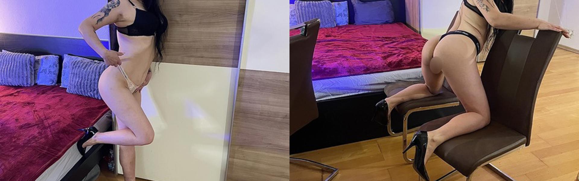 프로필 헤더 이미지