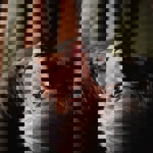 Zdjęcie profilowe