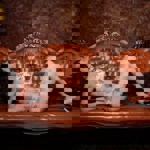 Зображення профілю