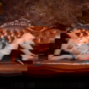 תמונת הפרופיל