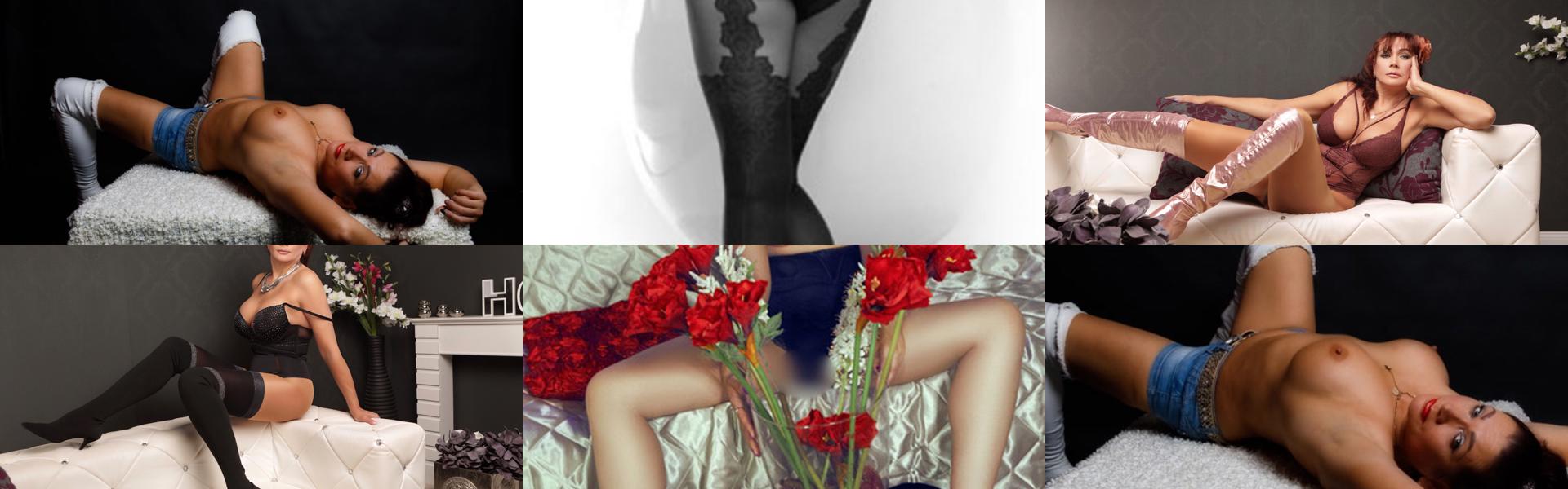 Imagine antet profil