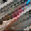 प्रोफ़ाइल छवि