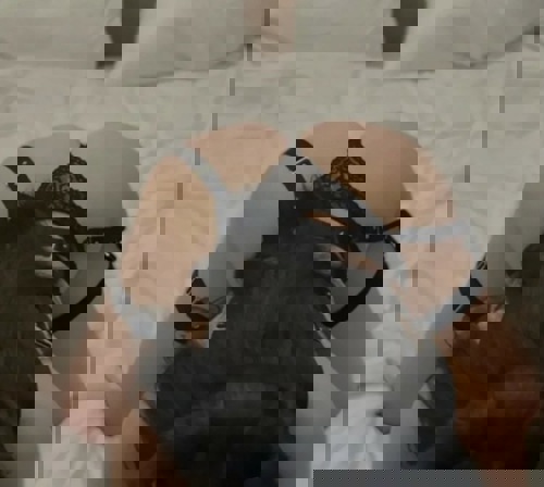 Nadja1512 - +4915124333261, +491512-4333261, 01512-4333261