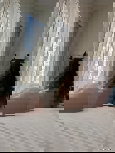 Ariella7 - +447848188695, +447848-188695, 07848-188695