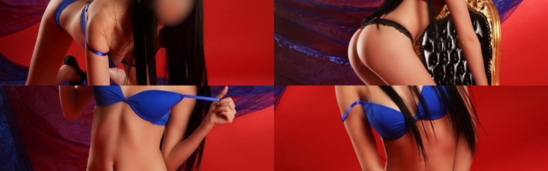 Zaglavna slika profila