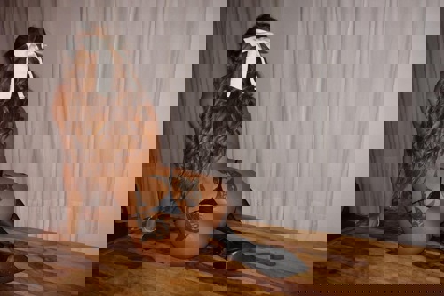 Solaris1 - +4917666049574, +49176-66049574, 0176-66049574