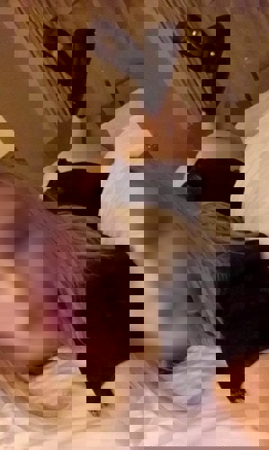 Monica3 - +49359897585406, +4935989-7585406, 035989-7585406