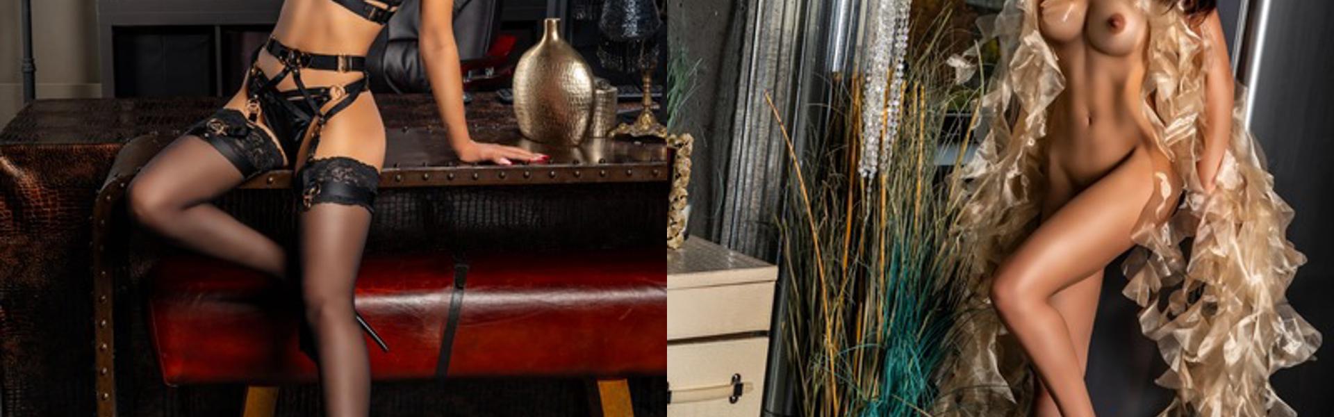 תמונת כותרת הפרופיל