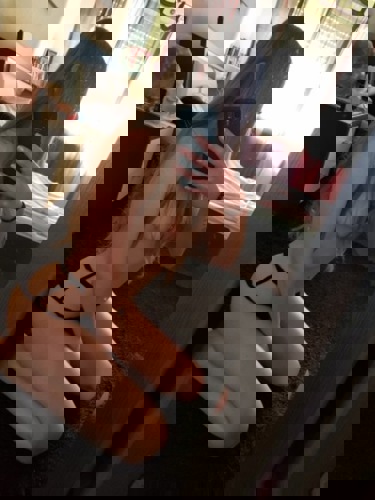 NASTJA16 - +491636447045, +49163-6447045, 0163-6447045