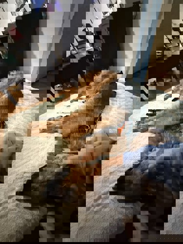 Katrine7 - +33780931182, +337-80 93 11 82, 07-80-93-11-82