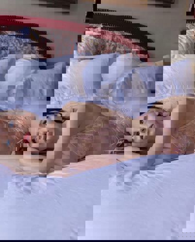 Dora77 - +38670572992, +38670-572 992, 070-572-992