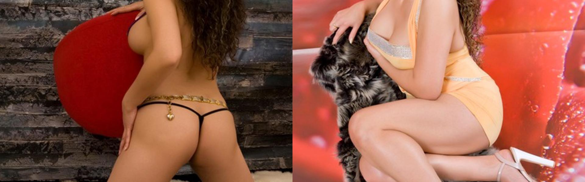 ภาพส่วนหัวโปรไฟล์