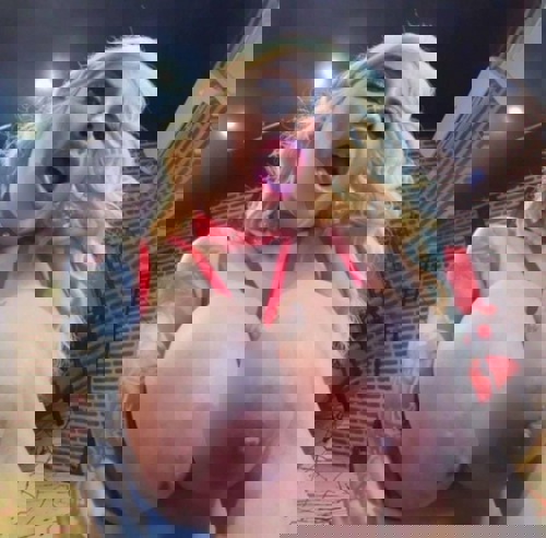 NIKYPORNODARSTELLERINVONBRAZZERS - +491628887293, +49162-8887293, 0162-8887293