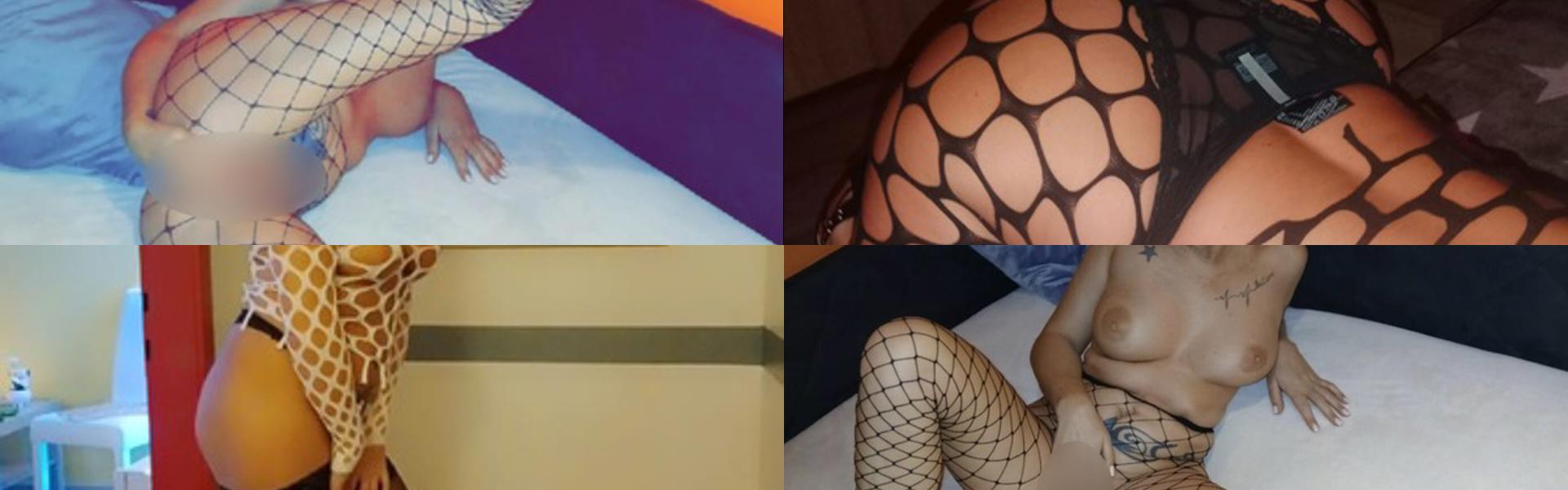 Imagen de encabezado del perfil