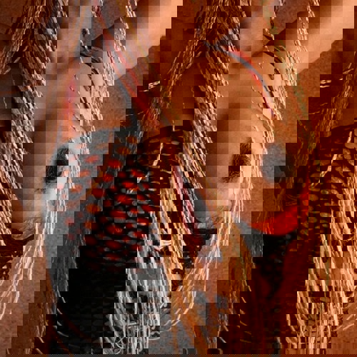 CharlotteMissKaribikNEU