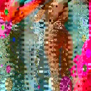 Εικόνα προφίλ