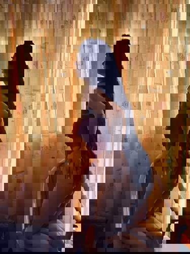 Lori11578 - +4915781198855, +491578-1198855, 01578-1198855