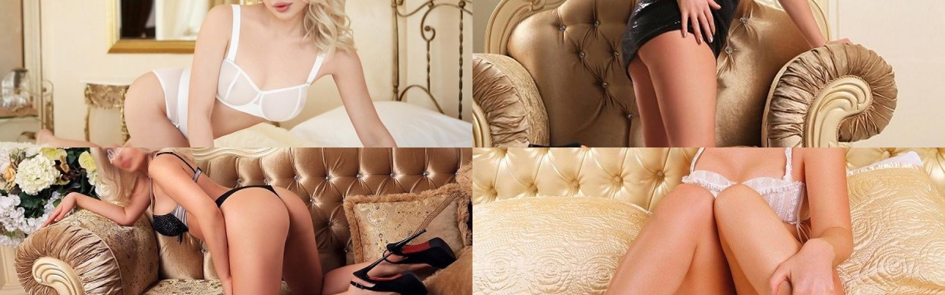 Zaglavna slika profila