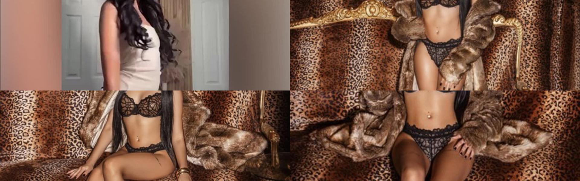 תמונת כותרת הפרופיל