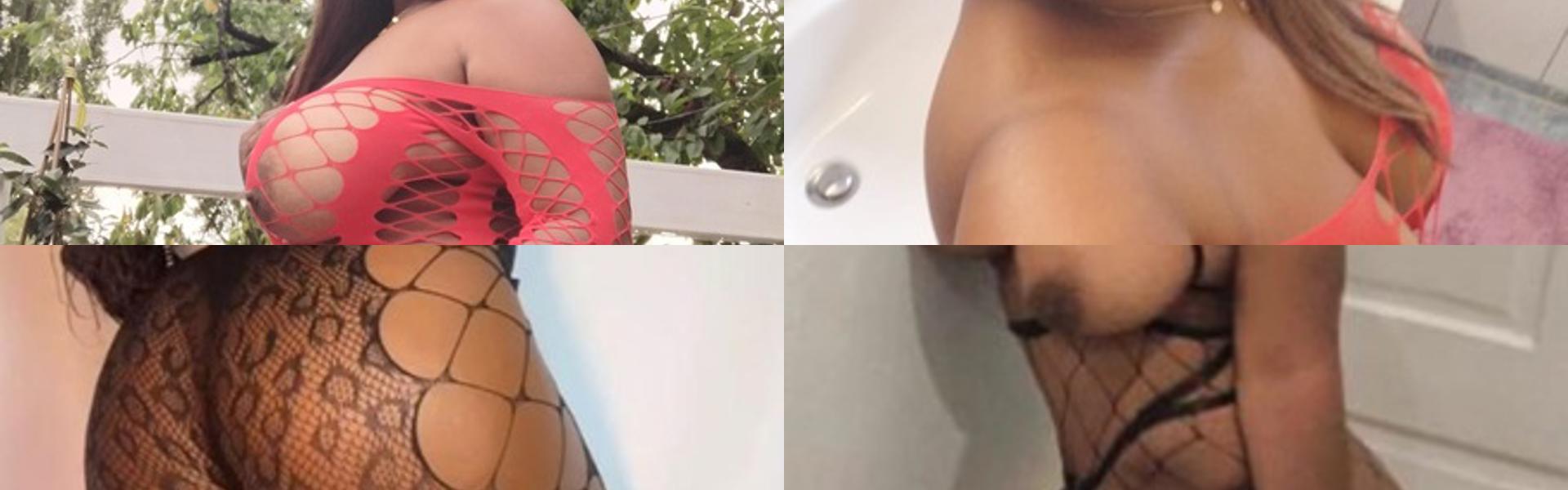 תמונת כותרת הפרופיל